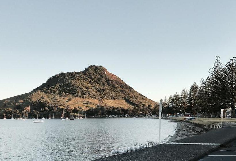 Hostel Mount Backpackers 3