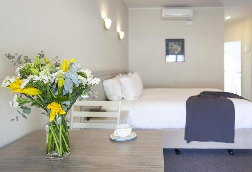Motel Te Mata Lodge 4