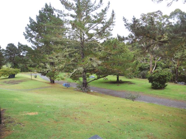 Kerikeri Holiday Park & Motels 19