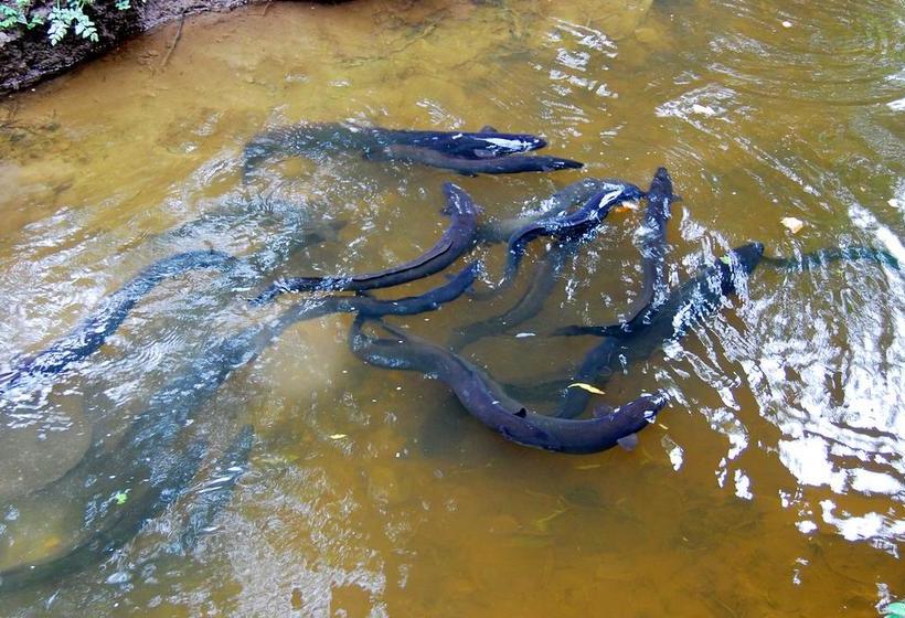 Apostles View Motel 11