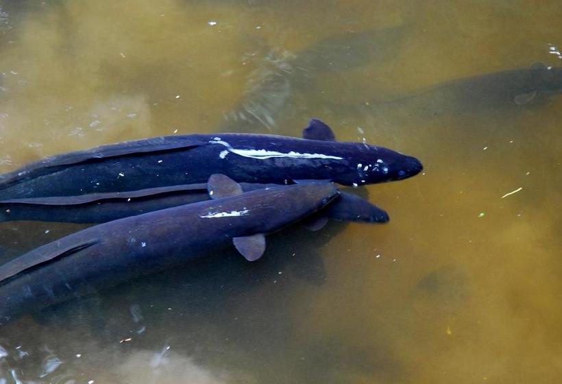 Apostles View Motel 18