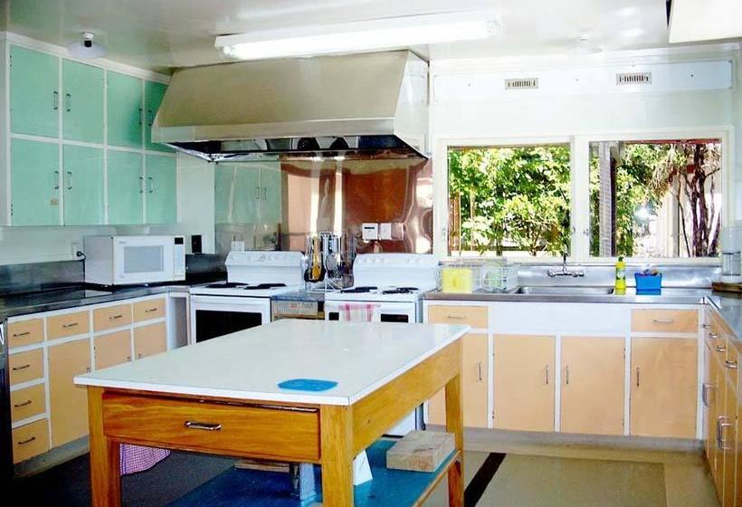 Hostel A Plus Samurai Lodge Backpackers 1