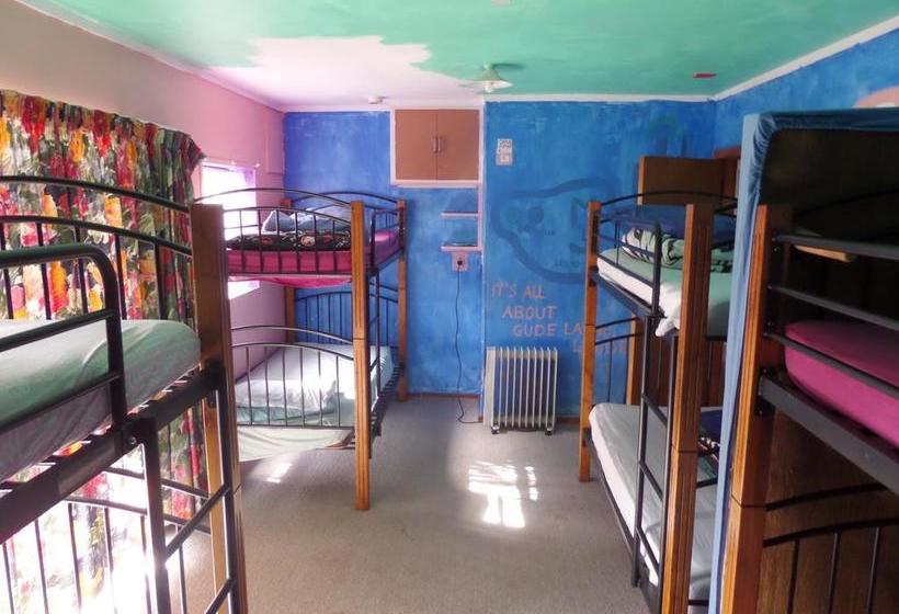 Hostel A Plus Samurai Lodge Backpackers 14