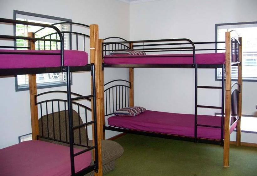 Hostel A Plus Samurai Lodge Backpackers 4