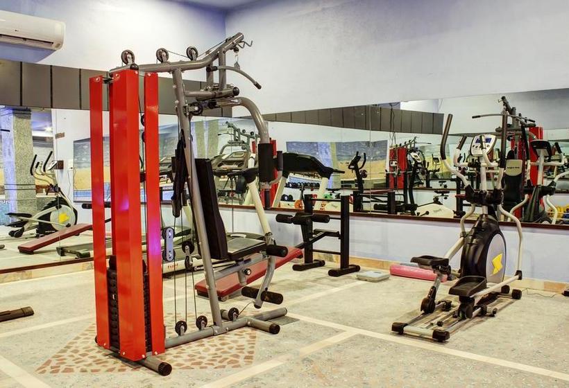 Hotel Nawalgarh Plaza 8