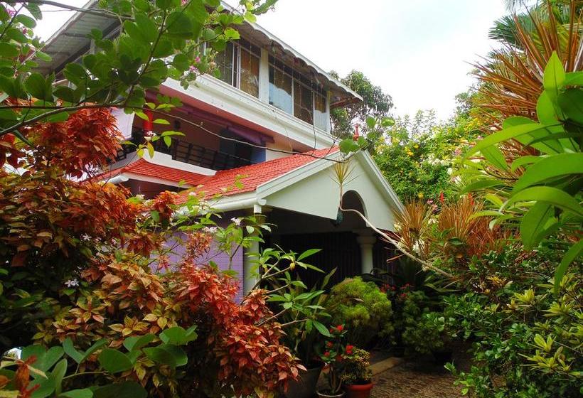 Bed and Breakfast Bella Homestay