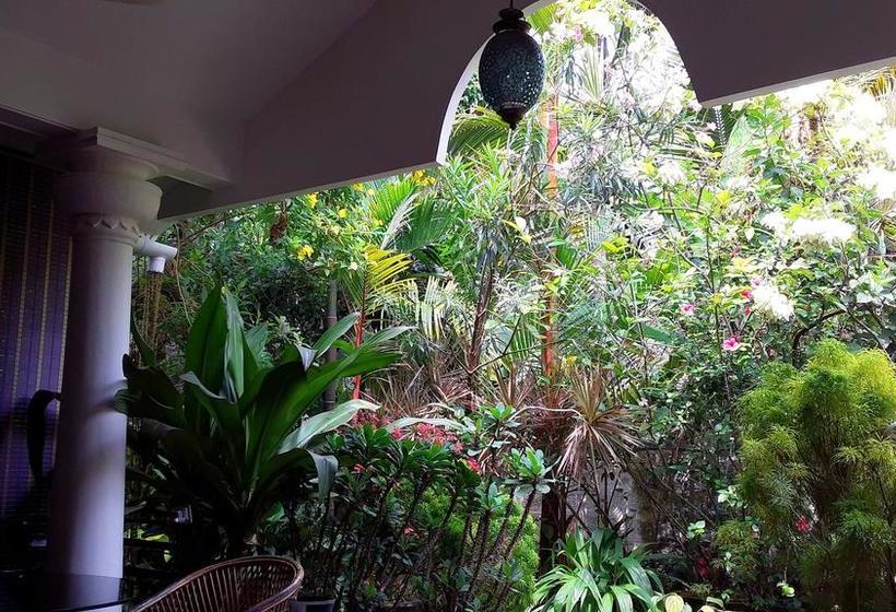 Bed and Breakfast Bella Homestay 2