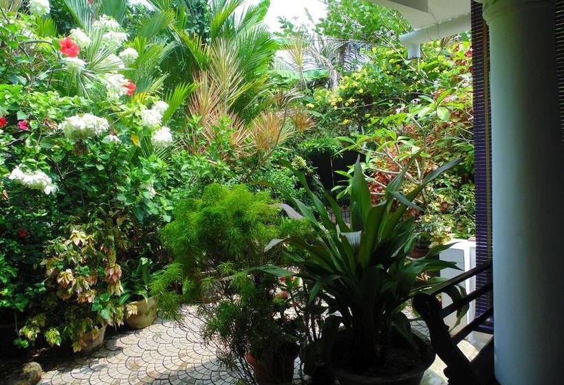 Bed and Breakfast Bella Homestay 3