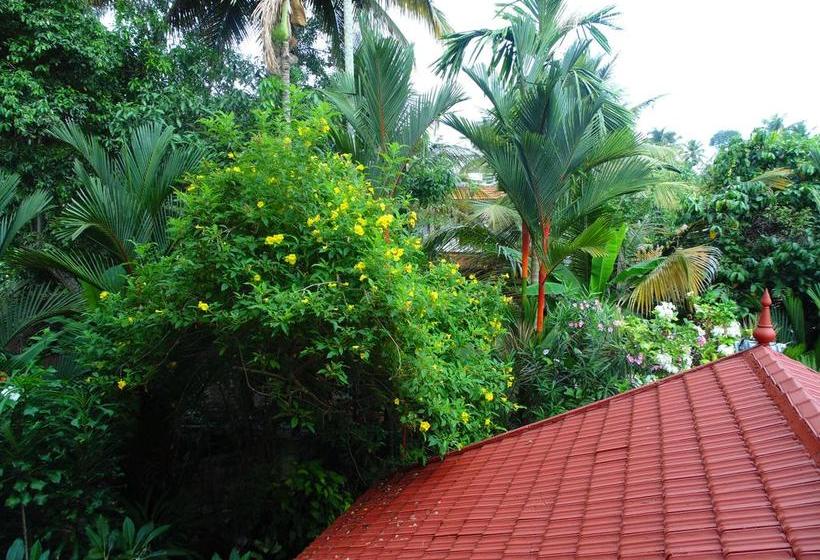 Bed and Breakfast Bella Homestay 5