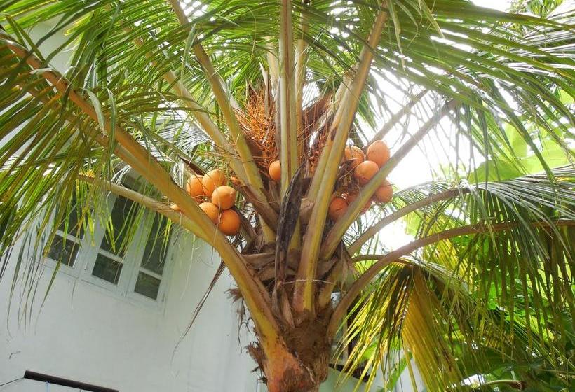 Resort Pulari Gardens 10