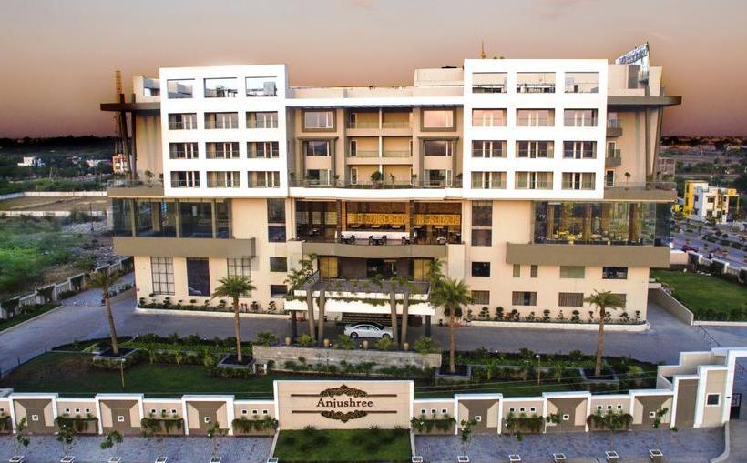 Hotel Anjushree Inn 9