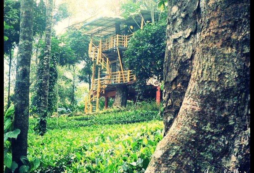 Bed and Breakfast Jungle Jive Tree House Munnar Kerala