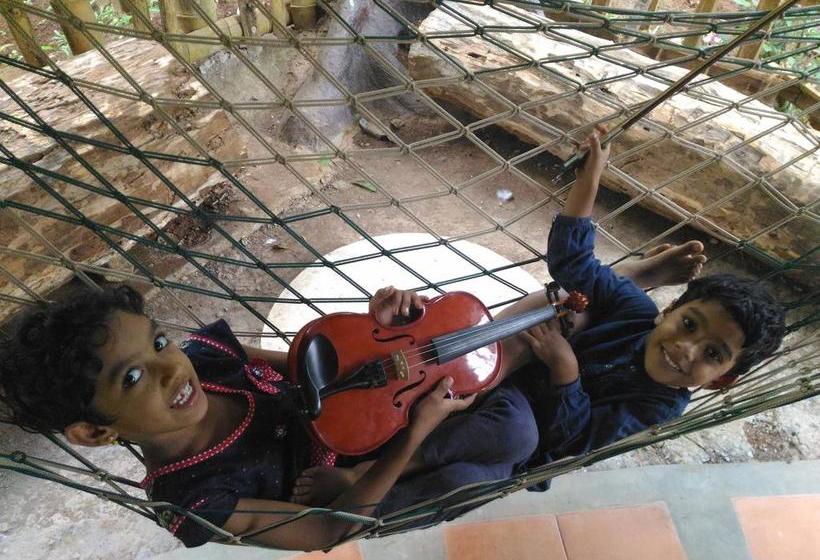 Bed and Breakfast Jungle Jive Tree House Munnar 1