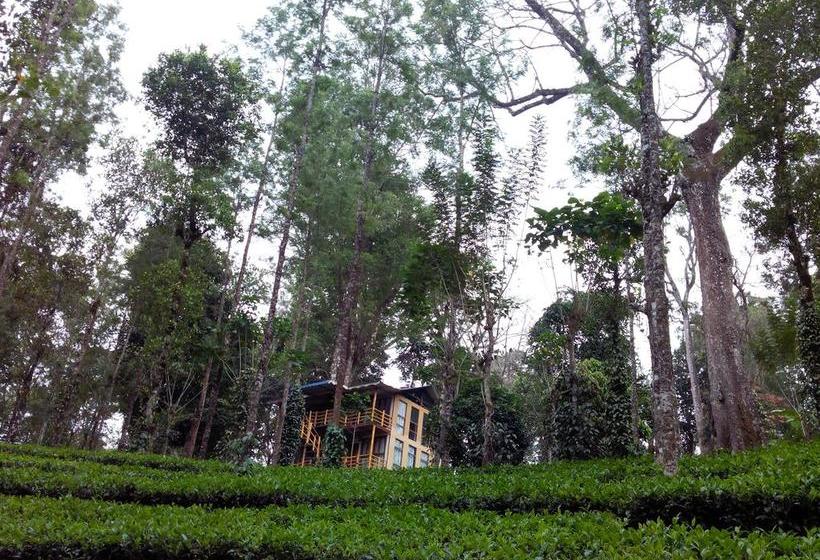 Bed and Breakfast Jungle Jive Tree House Munnar 10