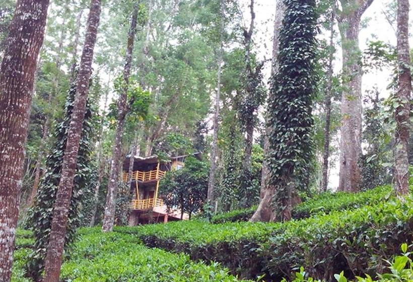Bed and Breakfast Jungle Jive Tree House Munnar 11