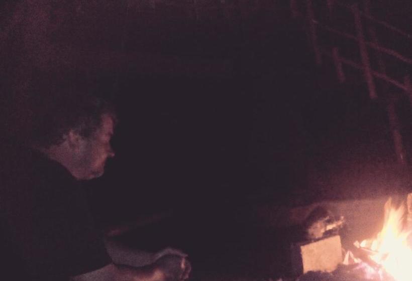 Bed and Breakfast Jungle Jive Tree House Munnar 12