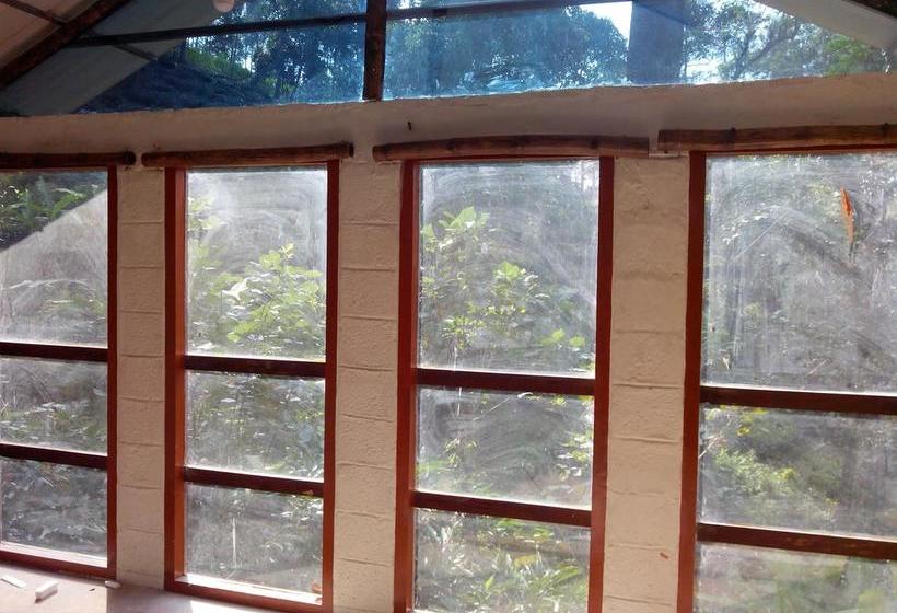 Bed and Breakfast Jungle Jive Tree House Munnar 13