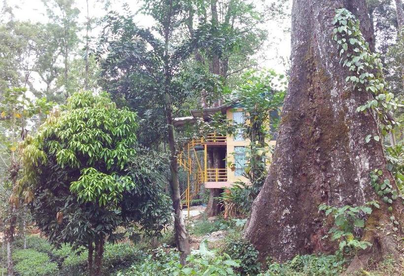 Bed and Breakfast Jungle Jive Tree House Munnar 14