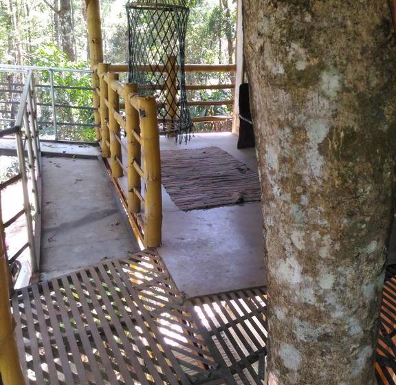 Bed and Breakfast Jungle Jive Tree House Munnar 19