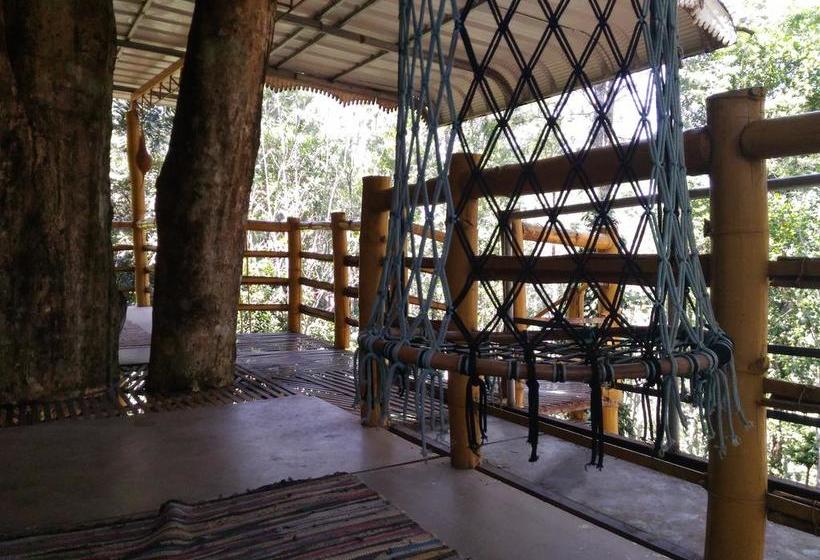 Bed and Breakfast Jungle Jive Tree House Munnar 2