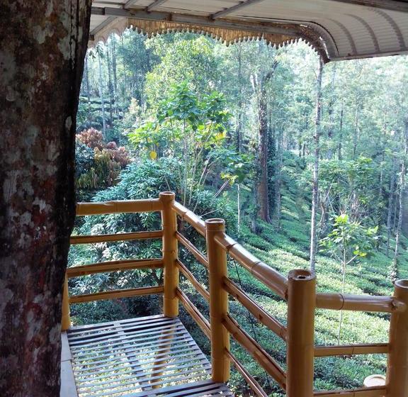 Bed and Breakfast Jungle Jive Tree House Munnar 20