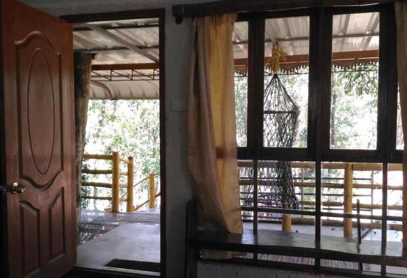 Bed and Breakfast Jungle Jive Tree House Munnar 3