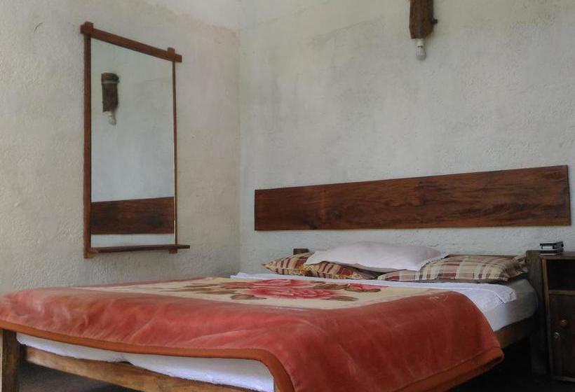 Bed and Breakfast Jungle Jive Tree House Munnar 4