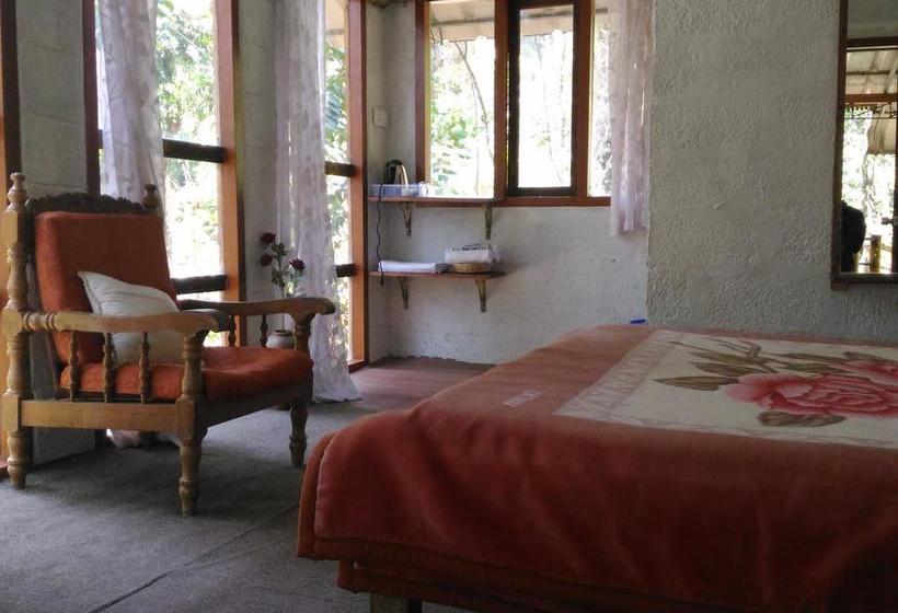 Bed and Breakfast Jungle Jive Tree House Munnar 5