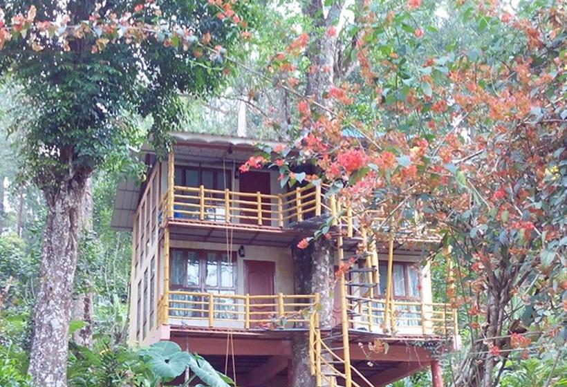 Bed and Breakfast Jungle Jive Tree House Munnar 7