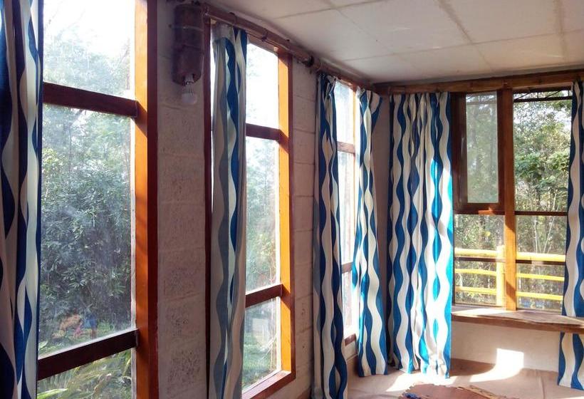 Bed and Breakfast Jungle Jive Tree House Munnar 9