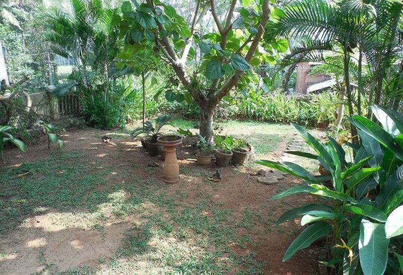 Bed and Breakfast Tranquil Homestay 5