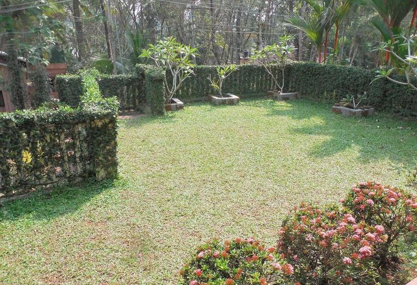 Bed and Breakfast Tranquil Homestay 8