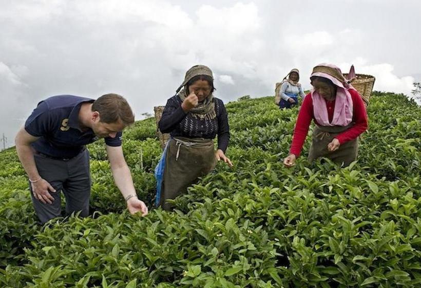 Singtom Tea Estate & Resort 17