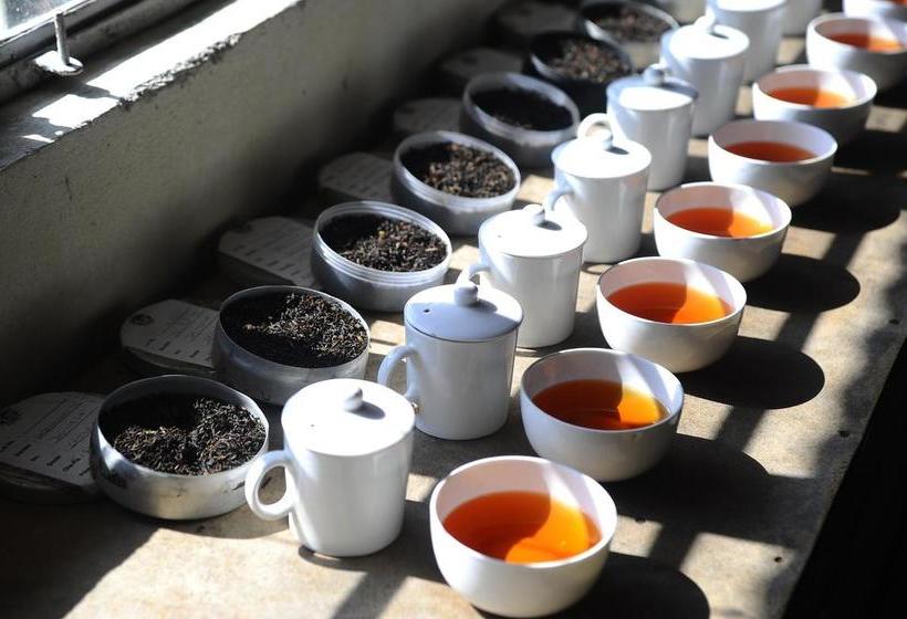 Singtom Tea Estate & Resort 19