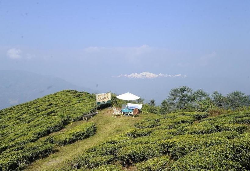 Singtom Tea Estate & Resort 3