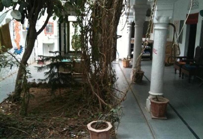 Bed and Breakfast Diamond 11