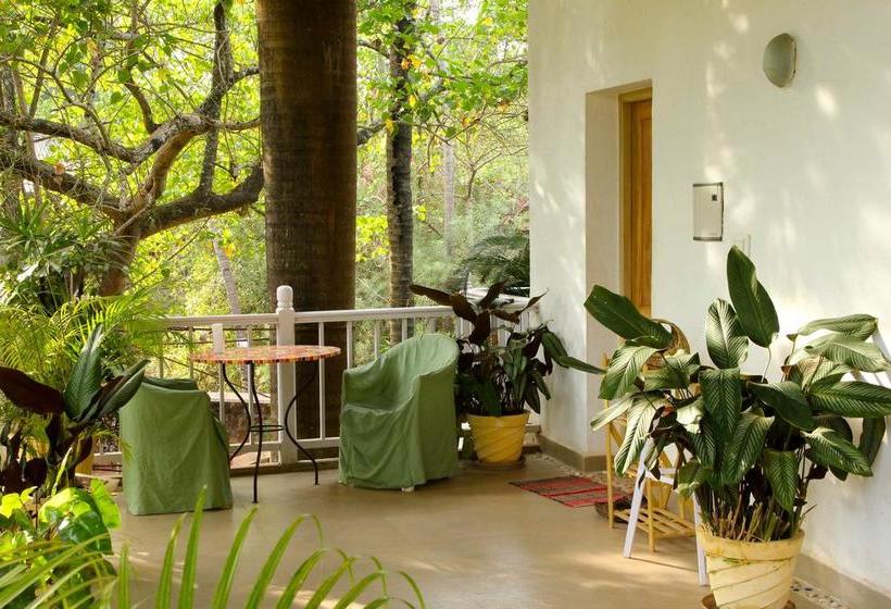 Bed and Breakfast Michèle S Garden 15