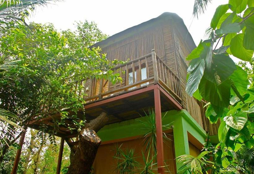 Bed and Breakfast Michèle S Garden 7