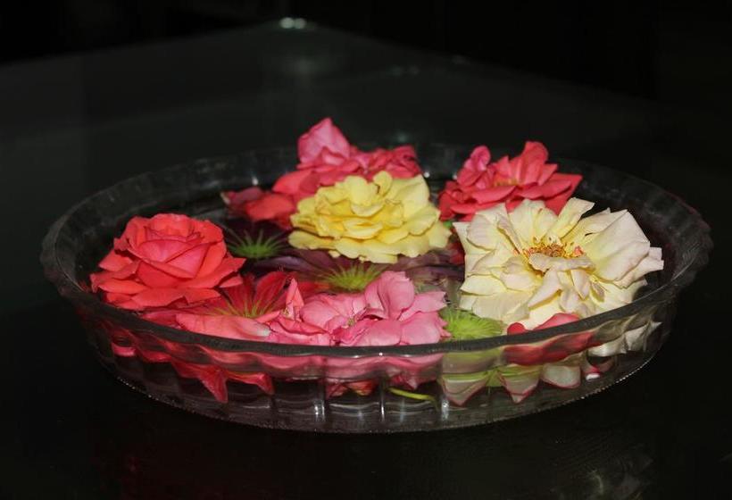 Hotel B&b The Casa 8