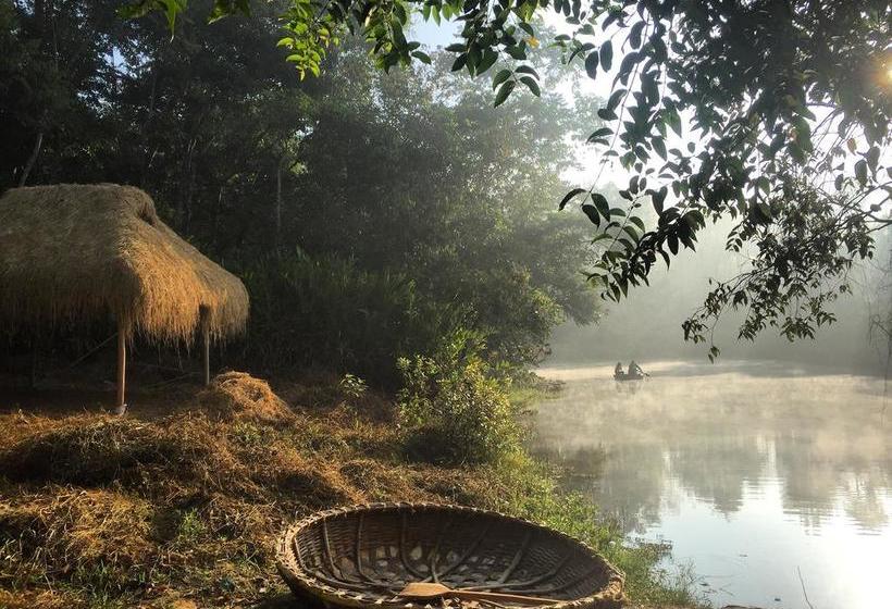 Resort Pepper Trail Wayanad 1