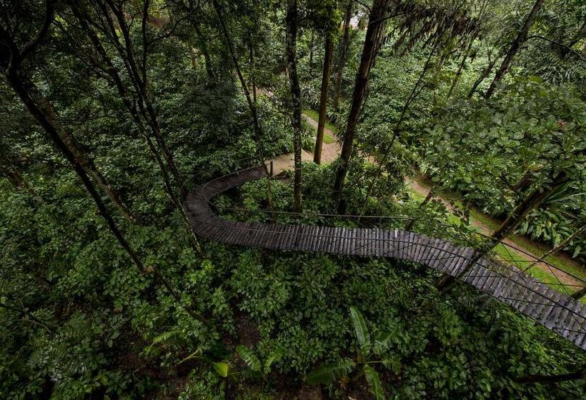 Resort Pepper Trail Wayanad 12