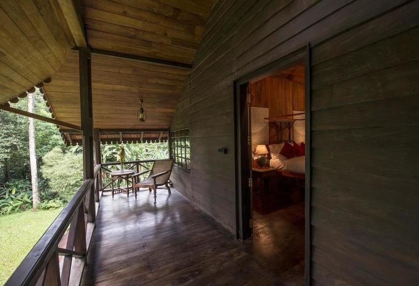 Resort Pepper Trail Wayanad 17