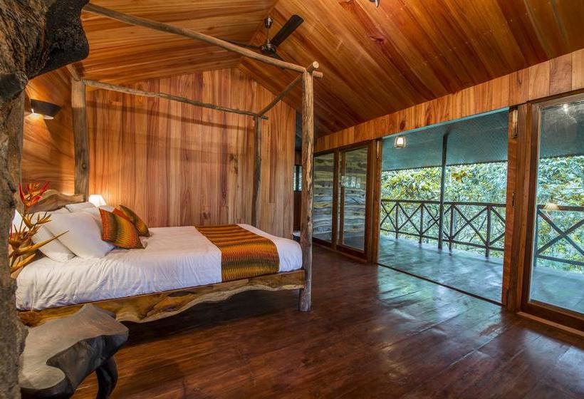 Resort Pepper Trail Wayanad 18