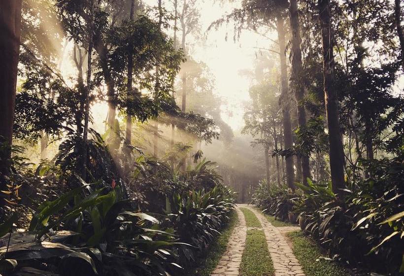 Resort Pepper Trail Wayanad 2