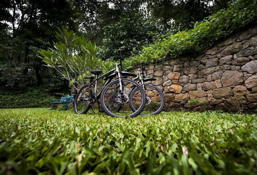 Resort Pepper Trail Wayanad 20