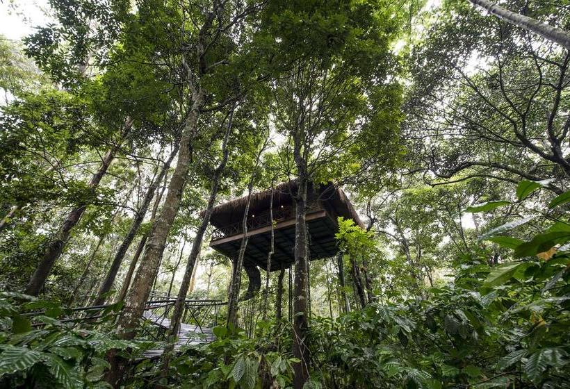 Resort Pepper Trail Wayanad 4