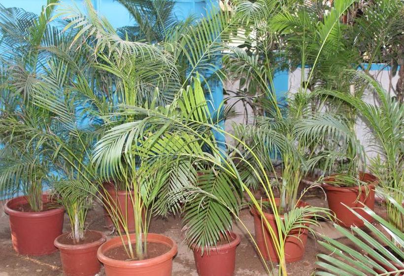 Hotel New Common Home 13