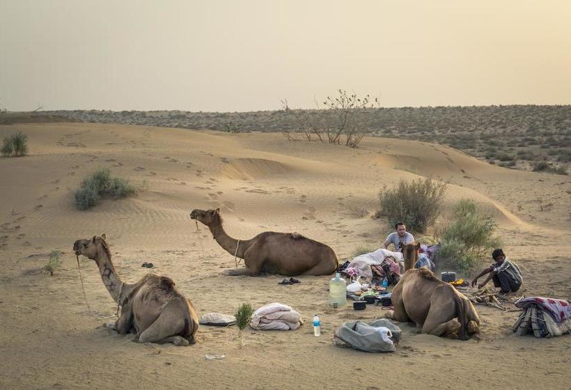 Bed and Breakfast Hostel Fort Side Jaisalmer 9