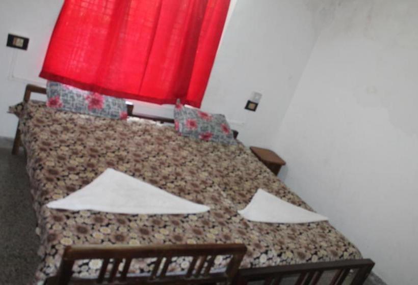 Bed and Breakfast Venice Nest 12