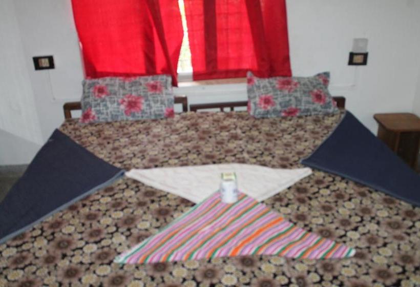 Bed and Breakfast Venice Nest 13